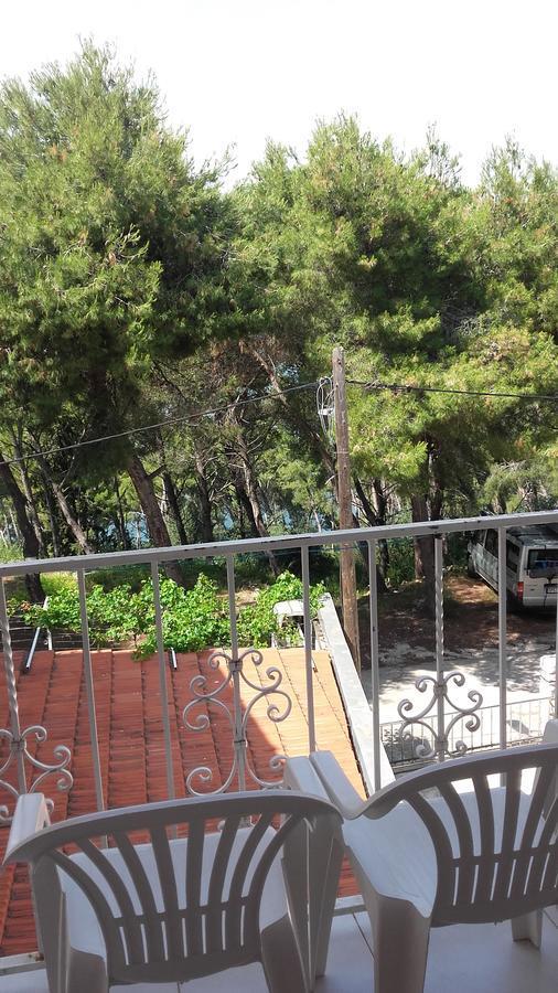 Villa Mateja Donji Okrug  Екстериор снимка
