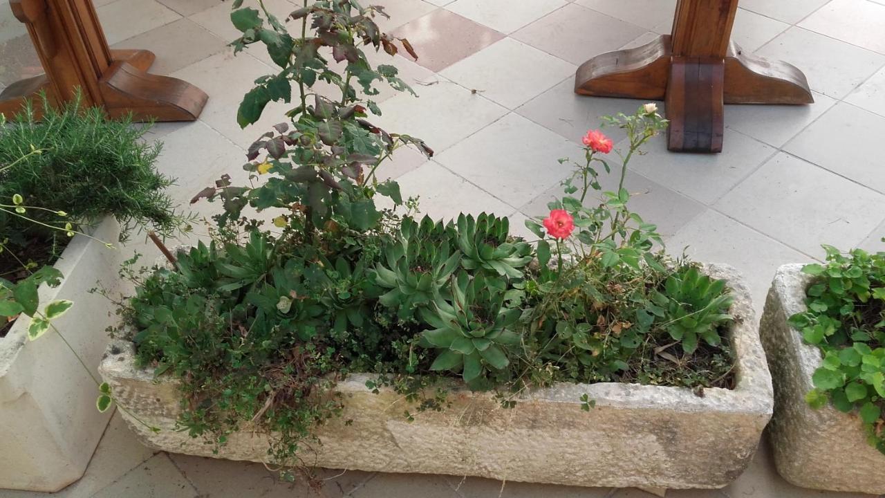 Villa Mateja Donji Okrug  Екстериор снимка