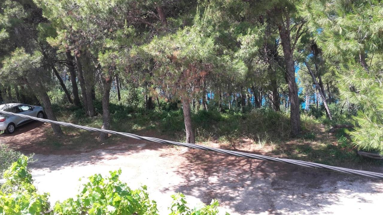 Villa Mateja Donji Okrug  Екстериор снимка