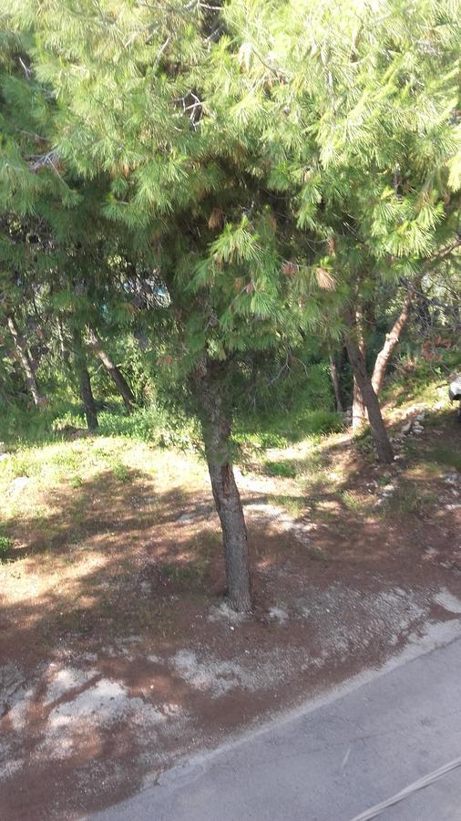 Villa Mateja Donji Okrug  Екстериор снимка
